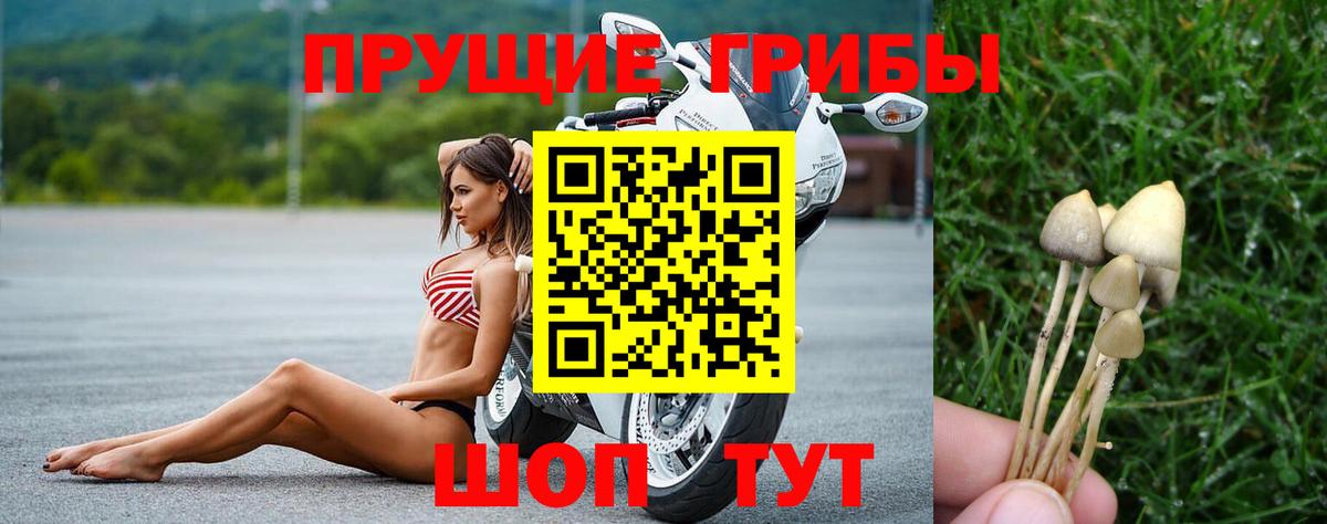 Галлюциногенные грибы GOLDEN TEACHER  Вход с VPN  Надым 